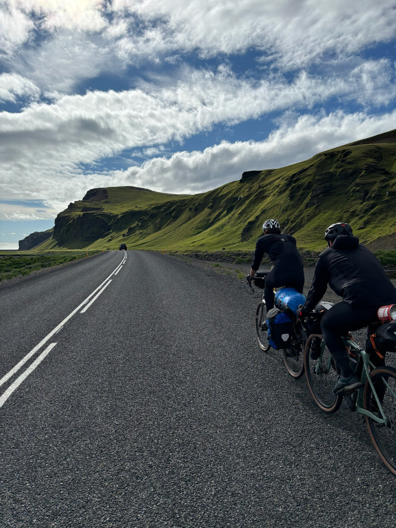 Immunsystem & Regeneration